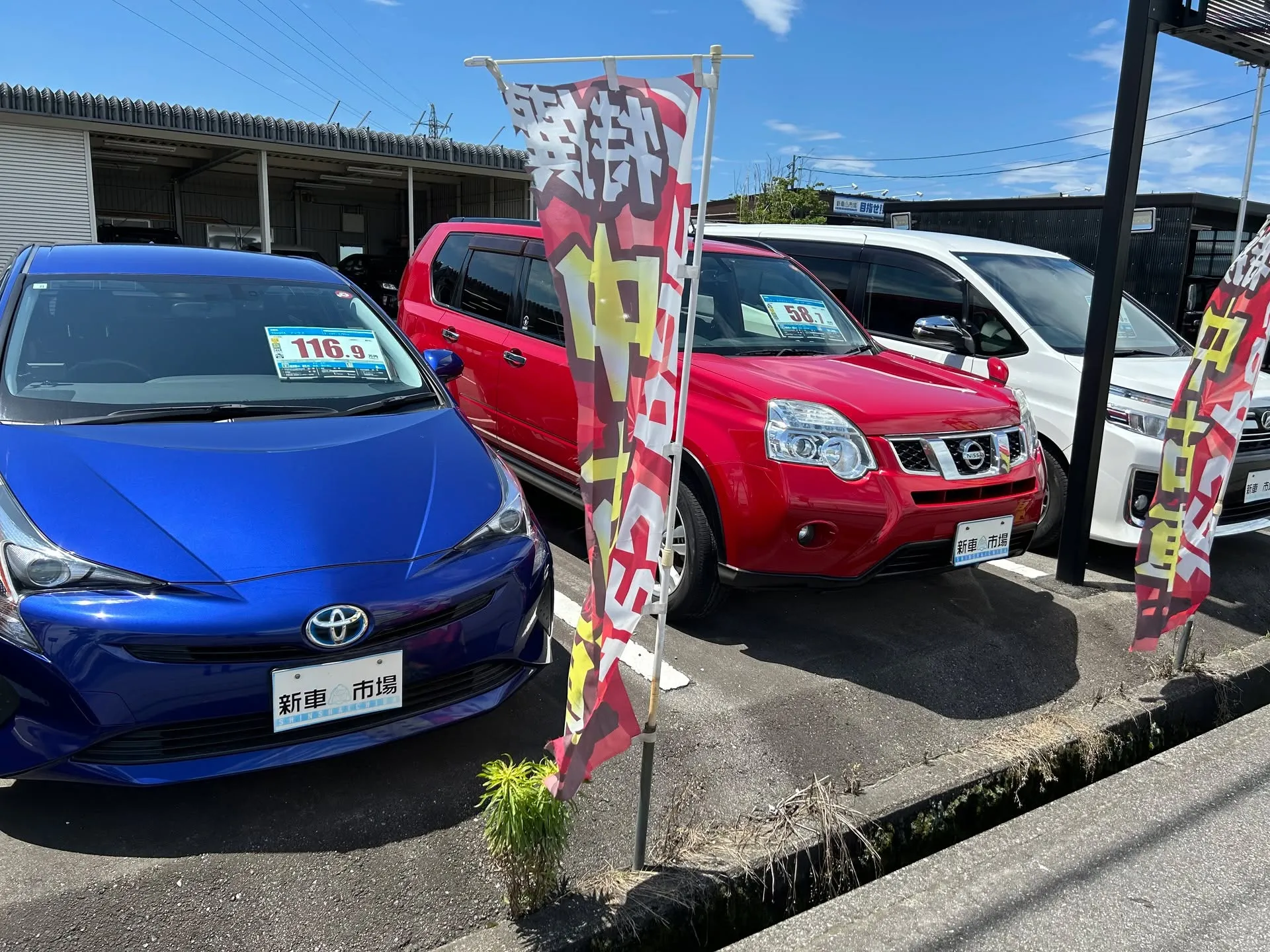 こんにちは！